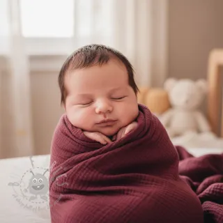Dvojna gaza/muslin berry ORGANIC