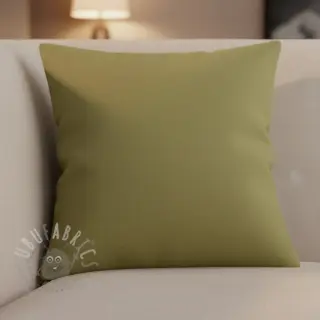 CANVAS olive