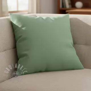 CANVAS mint