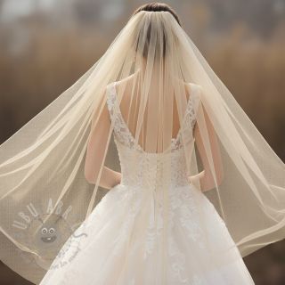 Til prod camel 160 cm