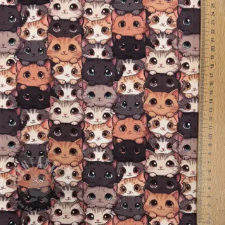 Jersey Cats digital print