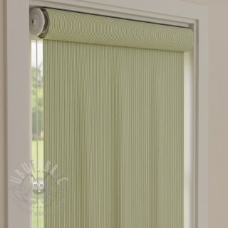 Dekorativno blago DOBBY Colored stripe light green