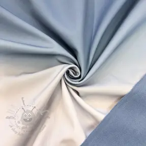 Softshell Gradient indigo digital print