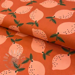 Dekorativno blago Fruits design F