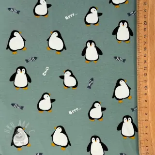 Jersey Penguins sage digital print