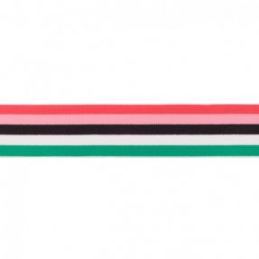 Elastika gladka 4 cm Multistripe 8