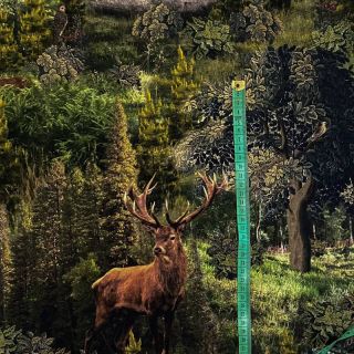 Dekorativna tkanina Ancient forest digitalni tisk