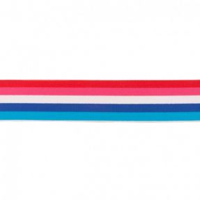 Elastika gladka 4 cm Multistripe 6