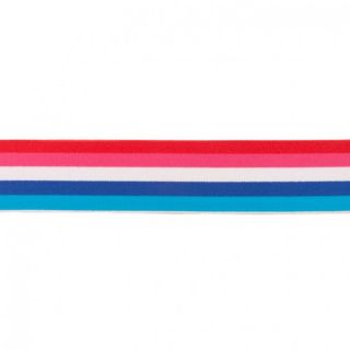 Elastika gladka 4 cm Multistripe 6