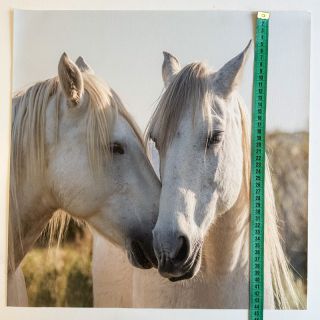 Umetno usnje KARIA Horse love PANEL