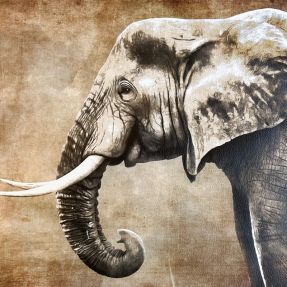Umetno usnje KARIA Elephant PANEL