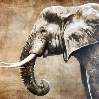 Umetno usnje KARIA Elephant PANEL