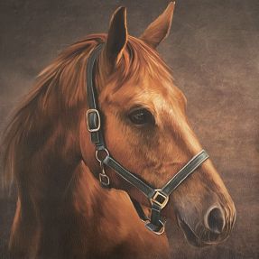 Umelá koža KARIA My horse PANEL