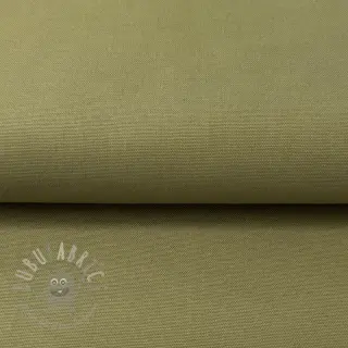 CANVAS olive