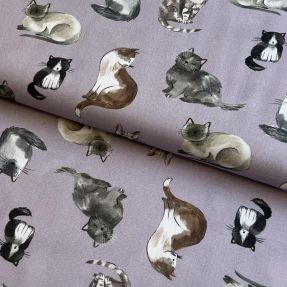 Bombažna tkanina Cats lavender digital print