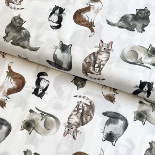 Bombažna tkanina Cats white digital print