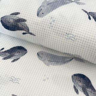 Bombaž waffle Whales digital print
