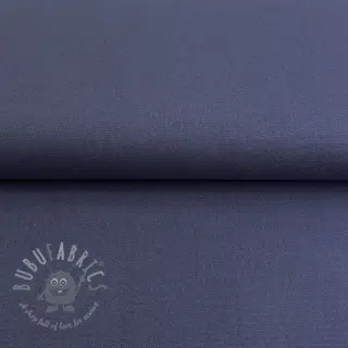 CANVAS dusty blue