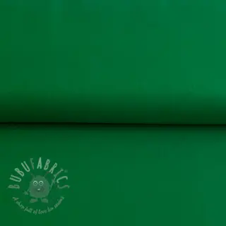 CANVAS green