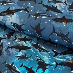 Pletenina Great shark digital print
