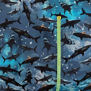 Pletenina Great shark digital print