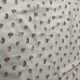 Pletenina Baby Seashells digital print 2. razred