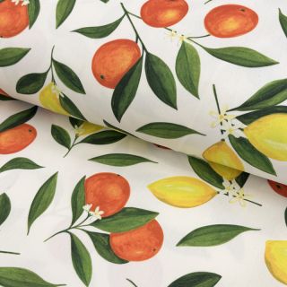 Dekorativna tkanina s teflonsko obdelavo Citrus Fruit