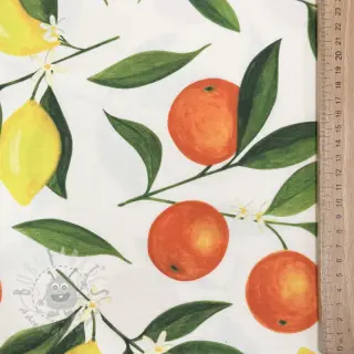 Dekorativno blago Teflon Citrus Fruit