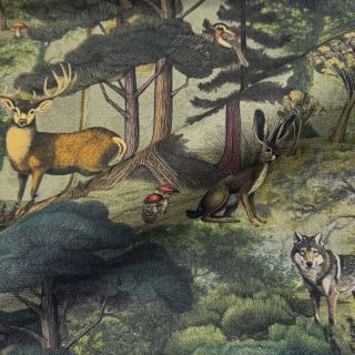 Dekorativna tkanina Forest Heritage Art digital print