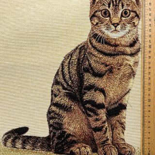 Dekorativna tkanina GOBELIN PREMIUM Sitting Kitten Cat PANEL